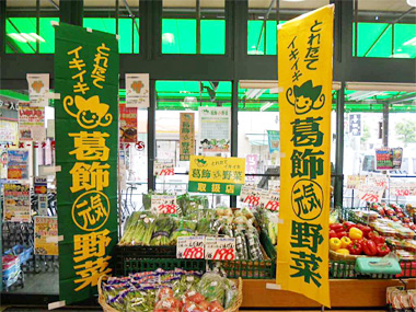 ベニースーパー佐野店 葛飾元気野菜ホームページ